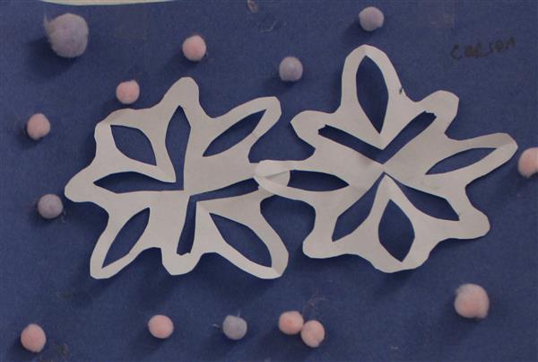 Snow Flake 8